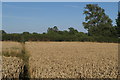 Footpath towards Steeple Claydon