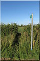 Footpath towards Steeple Claydon