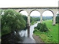NZ2030 : Newton Cap Viaduct crosses the River Wear by Tim Glover