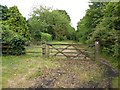 Footpath near Snitterfield