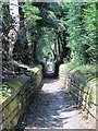 Sunken footpath at the Somerhill Schools (2)