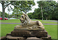 Lion at Kay Park, Kilmarnock