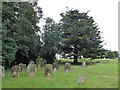 TM4398 : St Matthias, Thorpe next Haddiscoe: churchyard (c) by Basher Eyre