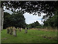 TM4198 : All Saints, Thurlton: churchyard (a) by Basher Eyre