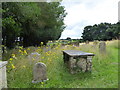 TM4198 : All Saints, Thurlton: churchyard (e) by Basher Eyre