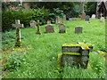TM2998 : St Margaret, Kirstead: churchyard (9) by Basher Eyre