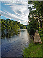 Landing Stage on the River Farrar