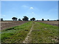 Bridleway from Brokenborough