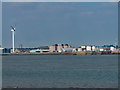 View of Huskisson and Wellington Docks, Liverpool