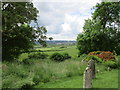 View from the churchyard, Chilcomb