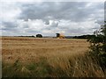 Harvesting near Bassingthorpe Farm