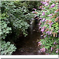 August view of East Brook, Dinas Powys