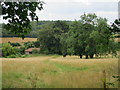 Field off Cockerhurst Road