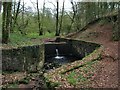 Weir on the Gwynon