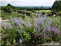 View from the terrace at Chartwell