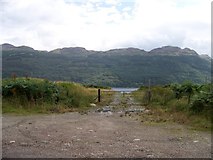 NS1997 : Forectry road north of Cormonachan, Loch Goil by Elliott Simpson