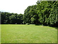 Grass area in Claygate Common