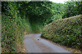 Mid Devon : Country Lane