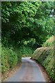 Mid Devon : Country Lane