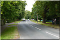 The A324, Pirbright