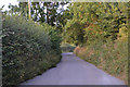 SX8799 : Mid Devon : Country Lane by Lewis Clarke