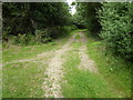 Footpath heads for the A272 with joining path on left