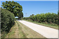 Driveway to Saintbury Grounds