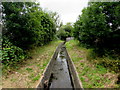 East Brook near Dinas Powys Library