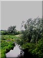 H9803 : River Fane above Knockbridge by Eric Jones