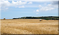 Harvested field with stubble and straw bales