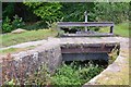 Sluice gate and lade, Erddig Country Park