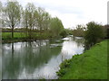 The River Thames near Eaton