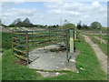 Large Kissing Gate