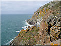 NX1530 : Cliffs below Mull of Galloway Lighthouse by David Dixon