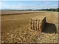 SO8938 : Straw bale in a wheat field by Philip Halling