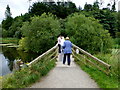 Footbridge, Hillsborough Lake