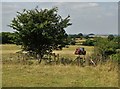 Grass cutting near Overmoor Farm