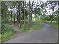 NZ4037 : Woodland, Wellfield Junction by Richard Webb
