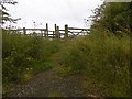 Path, Black Hurworth