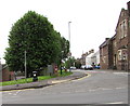 Tree on a Lydney corner