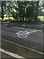 SK5033 : Bicycle marking on Nottingham Road by David Lally