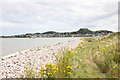 SH7679 : The Wales Coast Path at Conwy Morfa by Jeff Buck