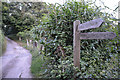 Kingswear : Small Lane