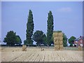 SE3272 : Harvest Time Sharow Ripon August 2016 Looking North To Thirsk by Paul Jones
