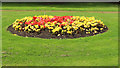 Flower Bed, Kilmarnock