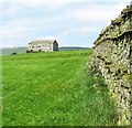 A Wensleydale wall