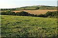 Farmland near Tregullon