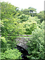 Old bridge, Berriedale