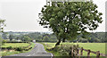 The Leathemstown Road near Dundrod (August 2016)