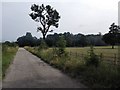 Farm Track to Elm Farm and Lower Wood